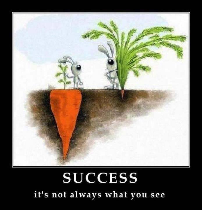 carrot