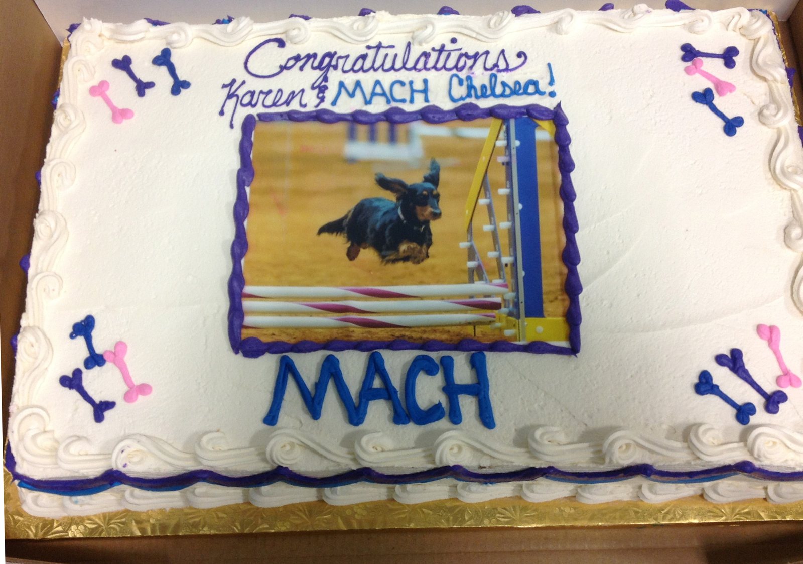 MACH CAKE