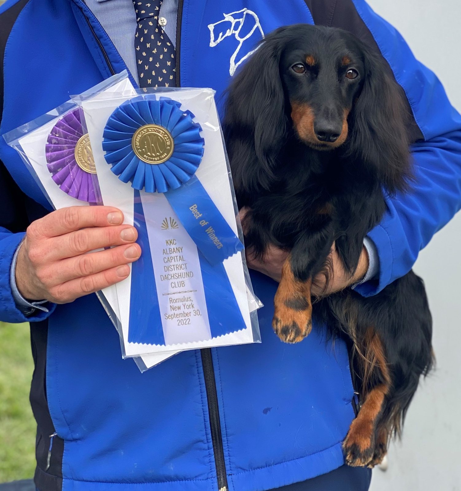 CH Harlequin Midnight Cowboy ML “Dustin” with his championship ribbons