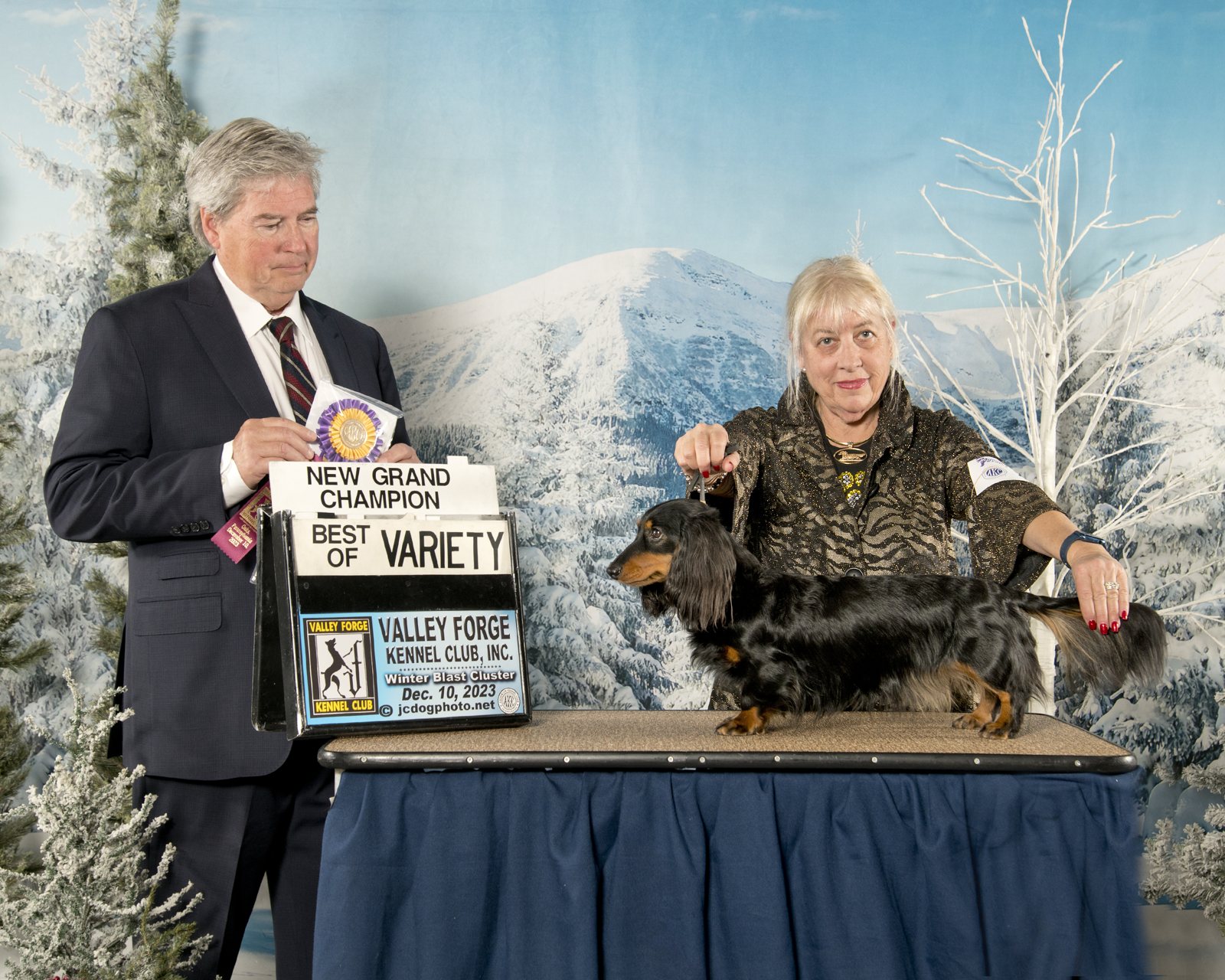 Kendall finishing her Grand Champion title at Valley Forge Kennel Club, December 2023