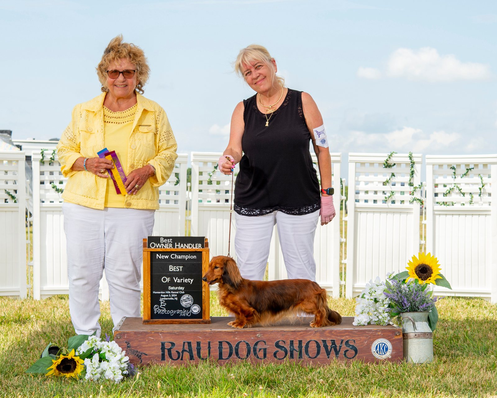 Molly, CH Harlequin Pretty in Pink ML, winning her final championship points at Hunterdon Hills Kennel Club, August 2024