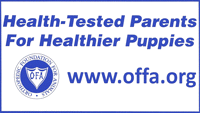 OFA – Orthopedic Foundation for Animals