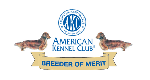breeder of merit - American Kennel Club